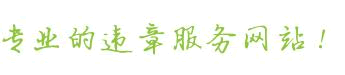 最专业的违章查询服务网站